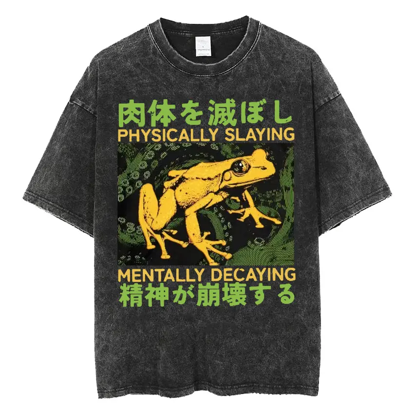funny japanese frog t shirt for men oversized retro washed casual wear for all seasons - Image 5