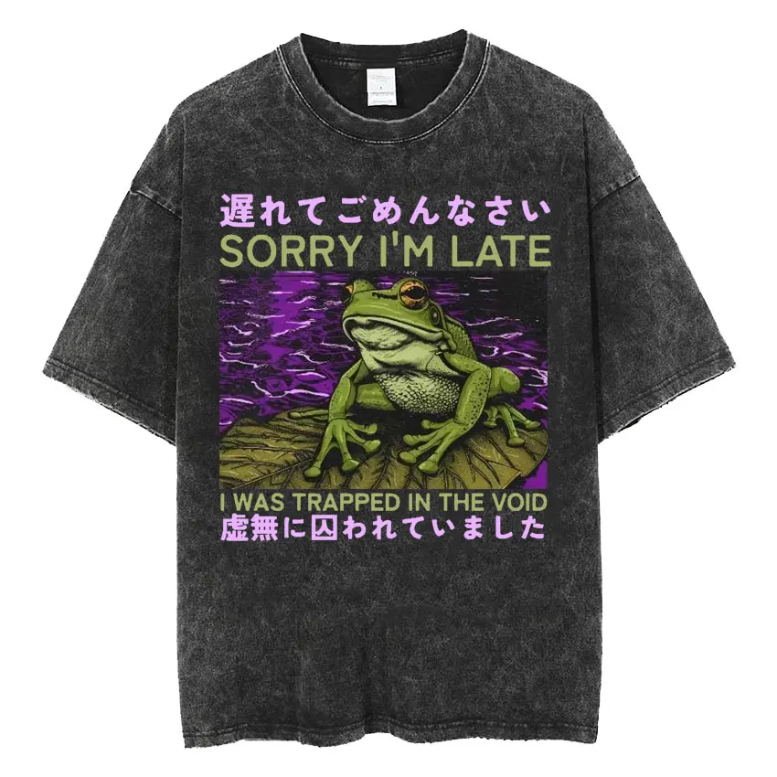 funny japanese frog t shirt for men oversized retro washed casual wear for all seasons - Image 6